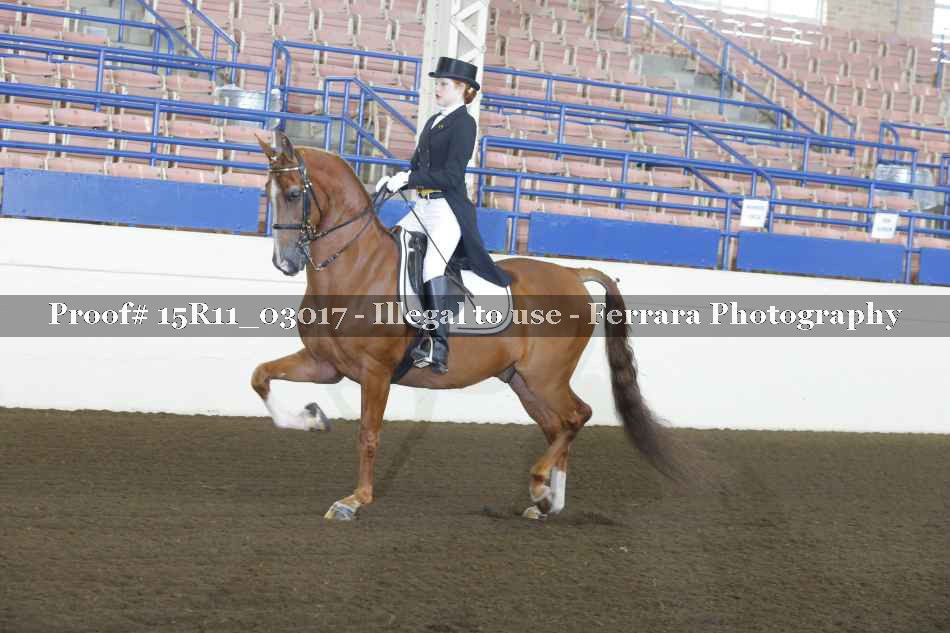 Proof 15R11_03017
