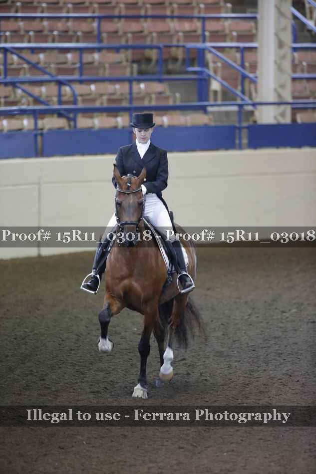 Proof 15R11_03018