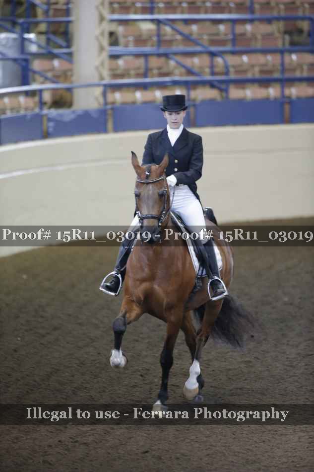 Proof 15R11_03019