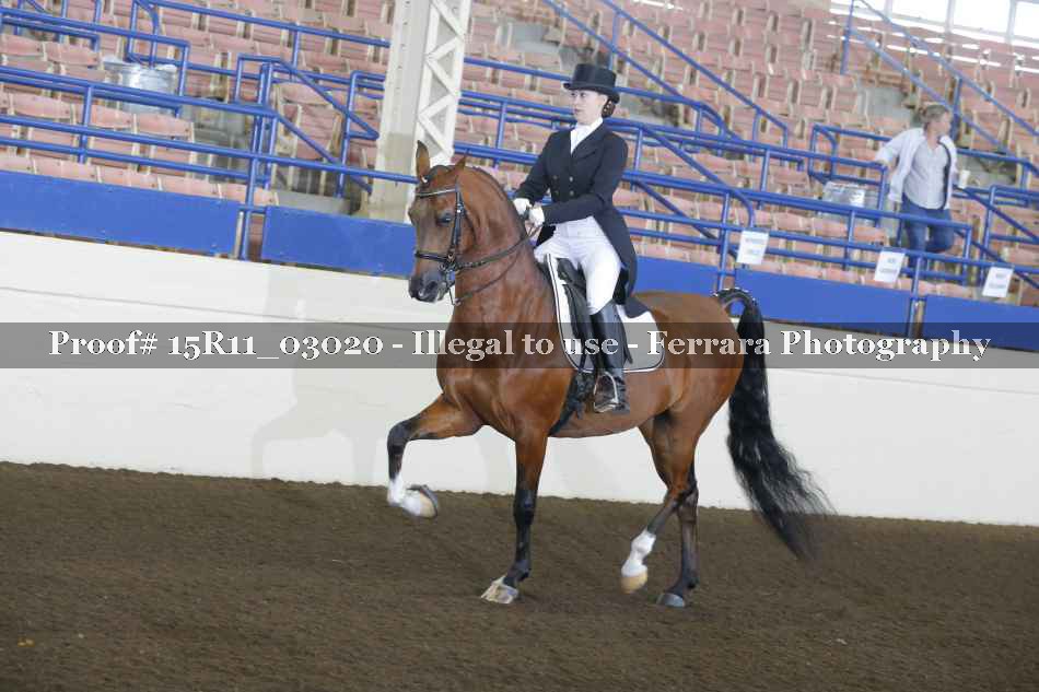 Proof 15R11_03020