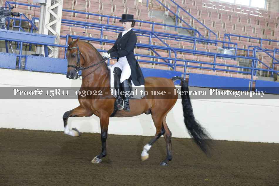 Proof 15R11_03022