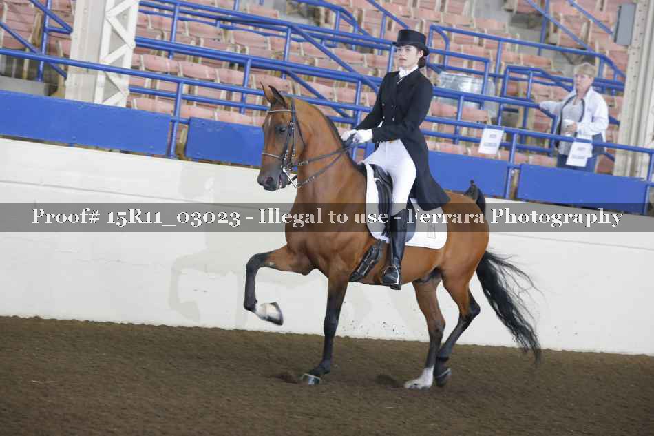 Proof 15R11_03023