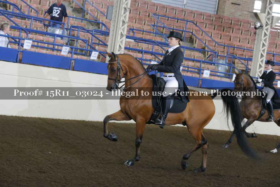 Proof 15R11_03024