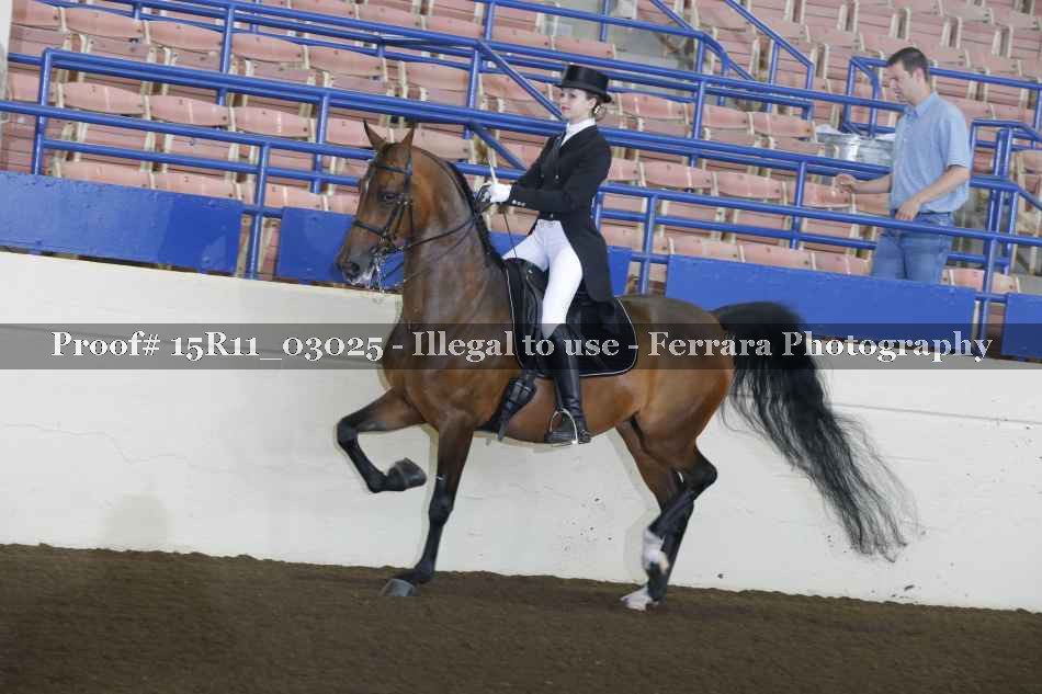 Proof 15R11_03025