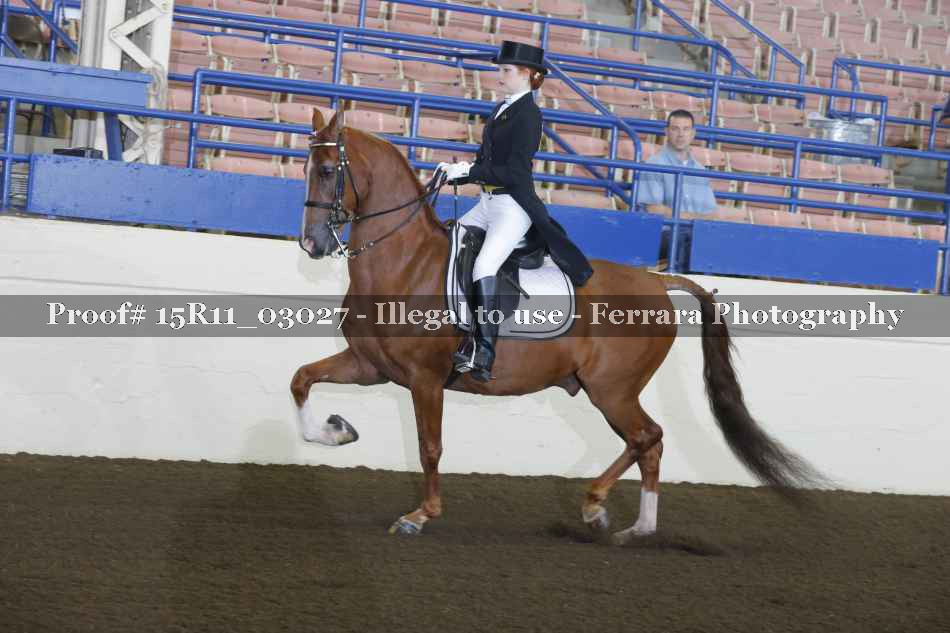 Proof 15R11_03027