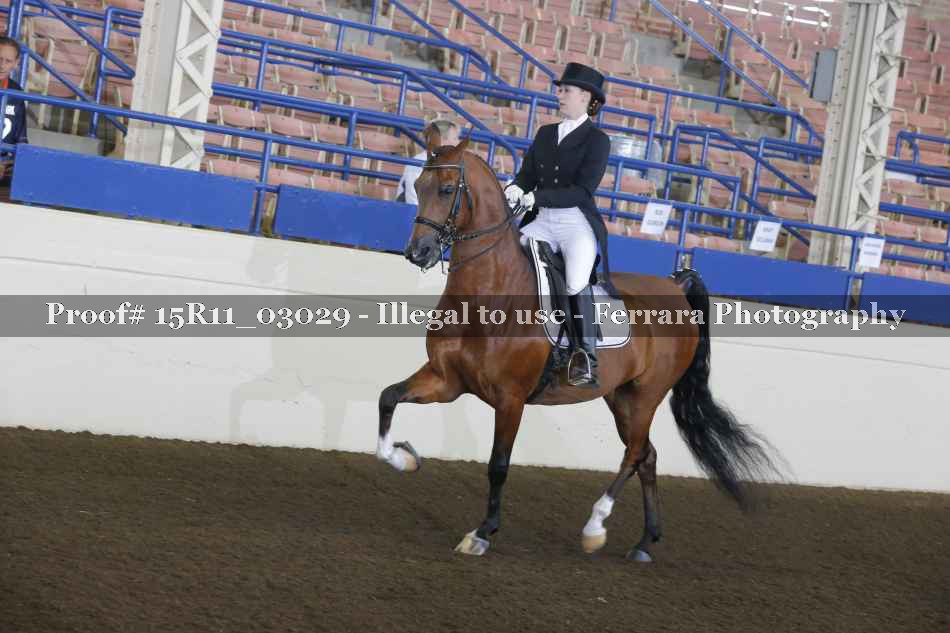 Proof 15R11_03029