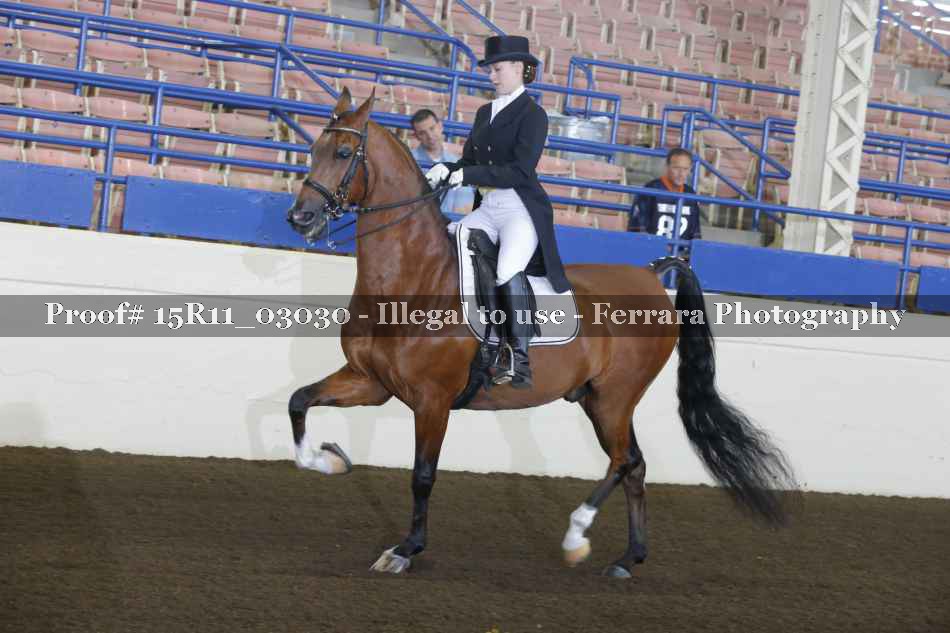 Proof 15R11_03030