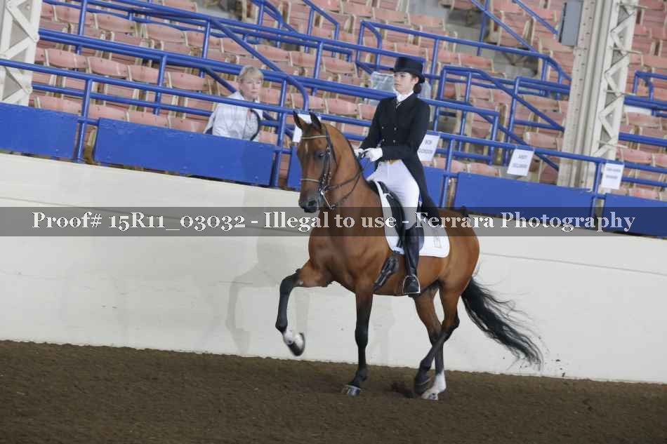 Proof 15R11_03032
