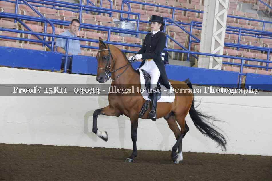 Proof 15R11_03033