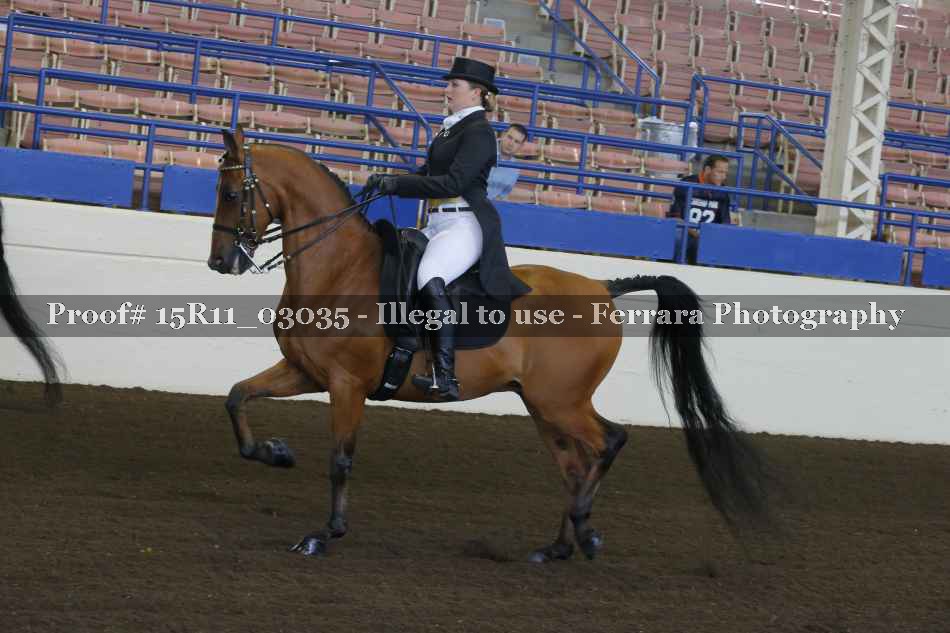 Proof 15R11_03035
