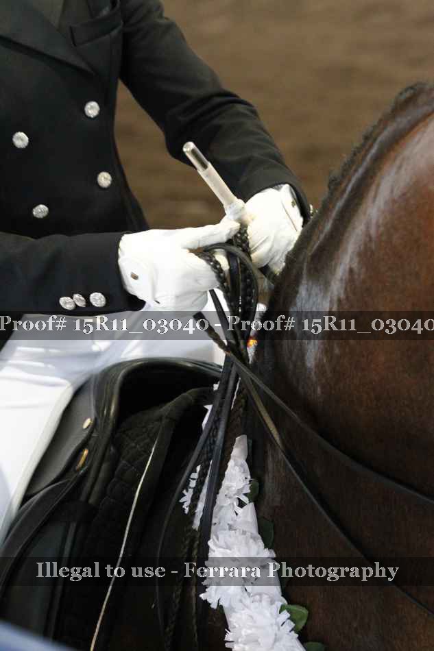 Proof 15R11_03040