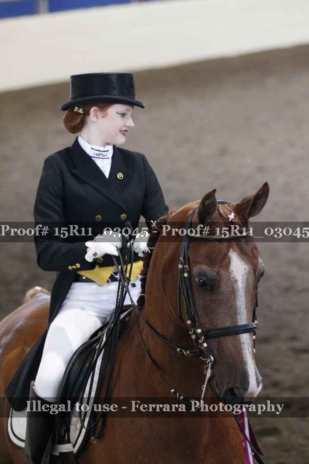 Proof 15R11_03045