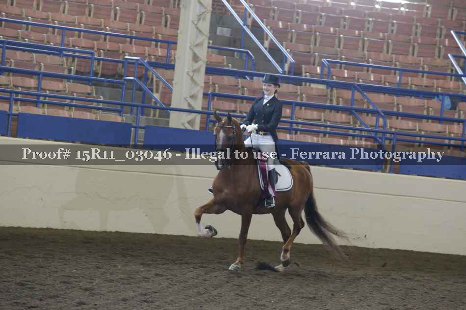 Proof 15R11_03046