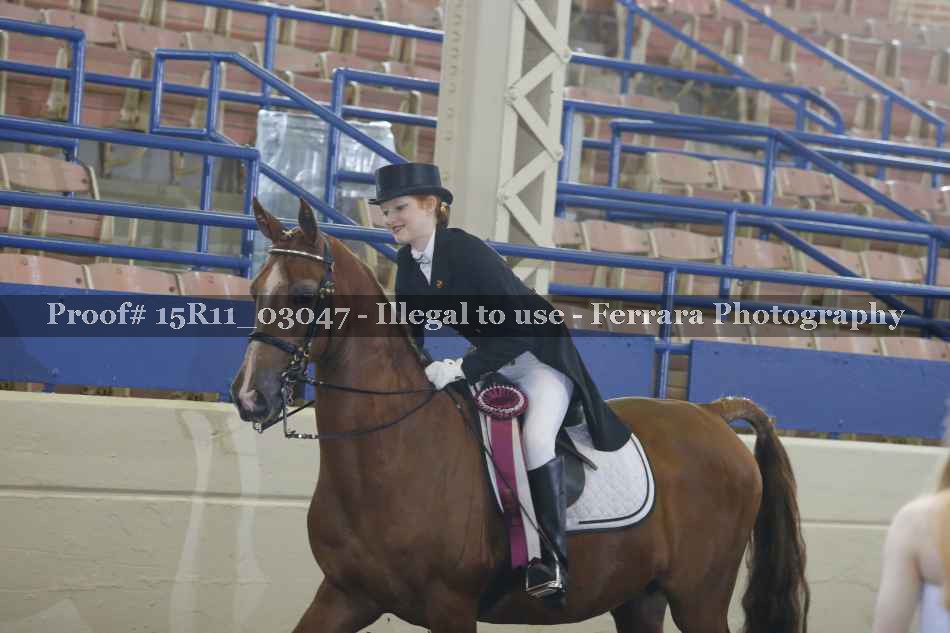 Proof 15R11_03047