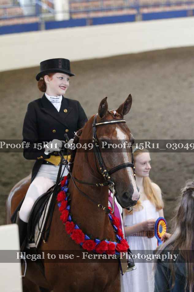 Proof 15R11_03049