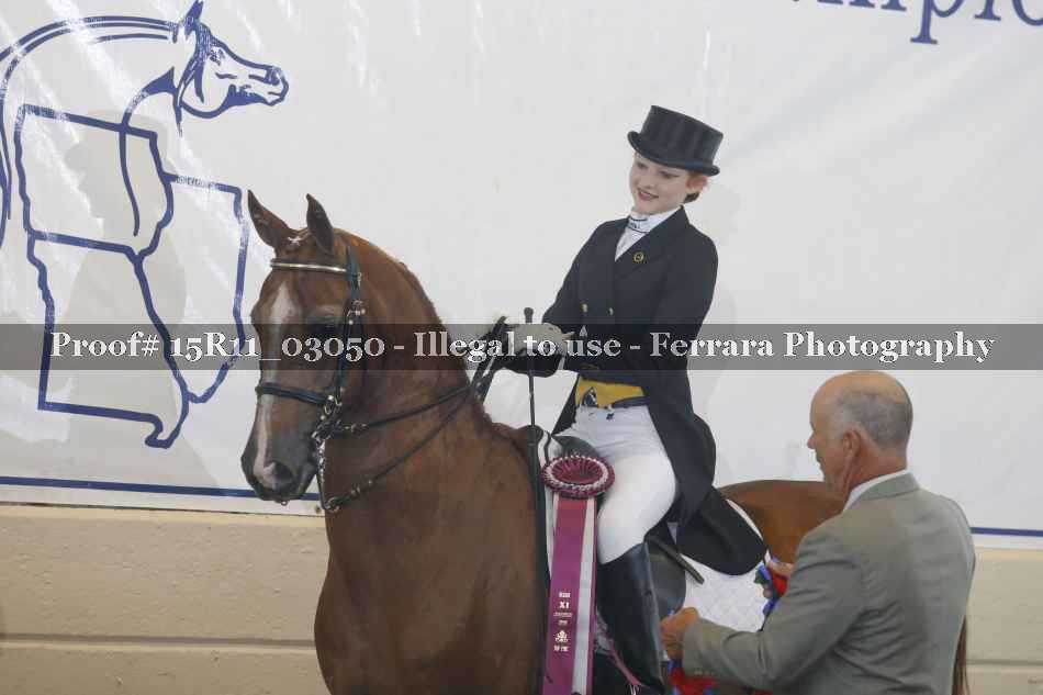 Proof 15R11_03050
