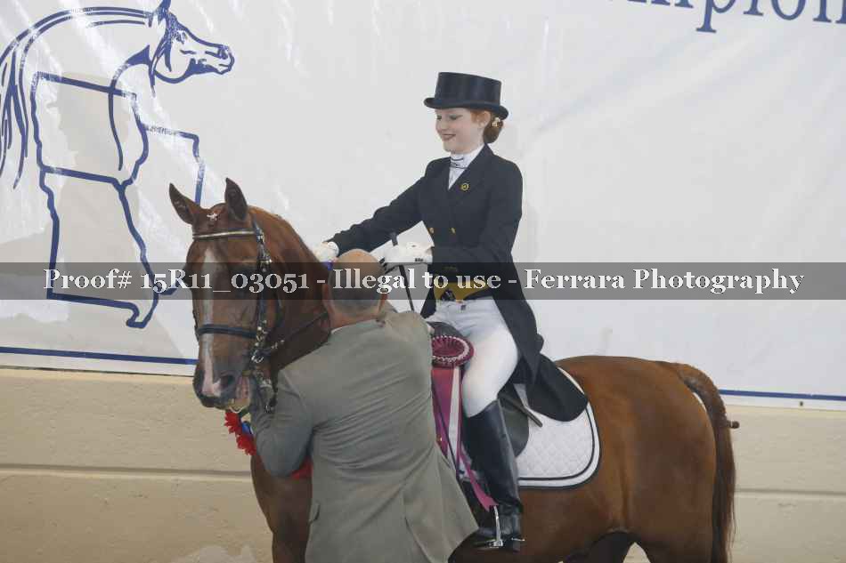 Proof 15R11_03051