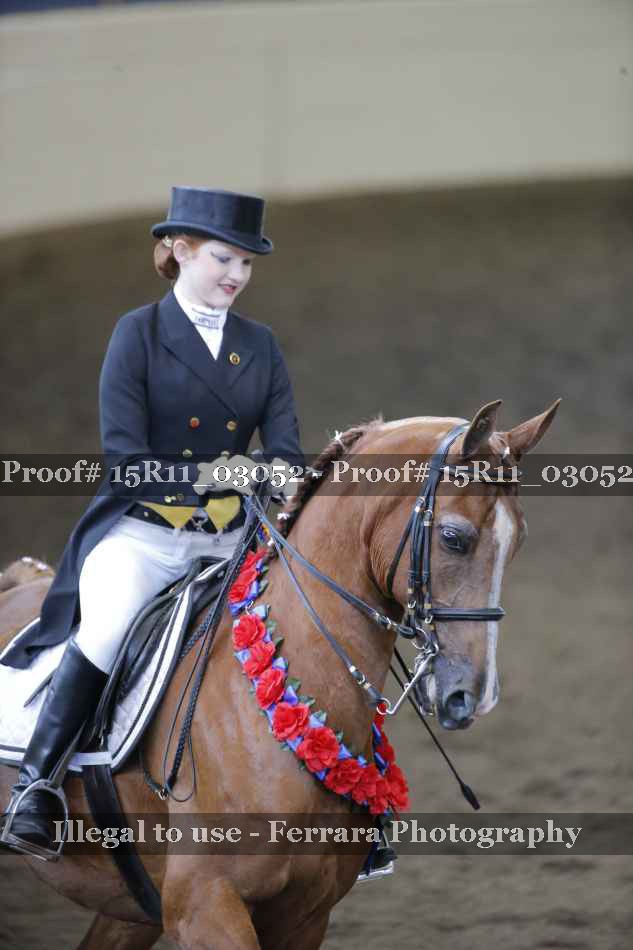 Proof 15R11_03052