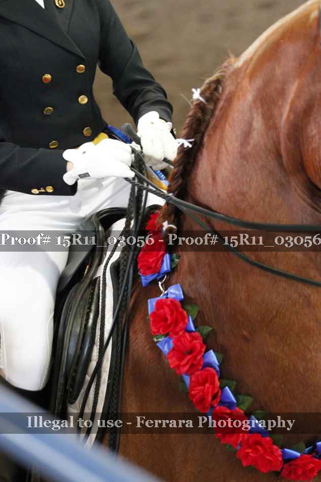 Proof 15R11_03056