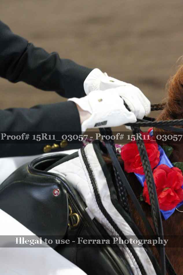 Proof 15R11_03057