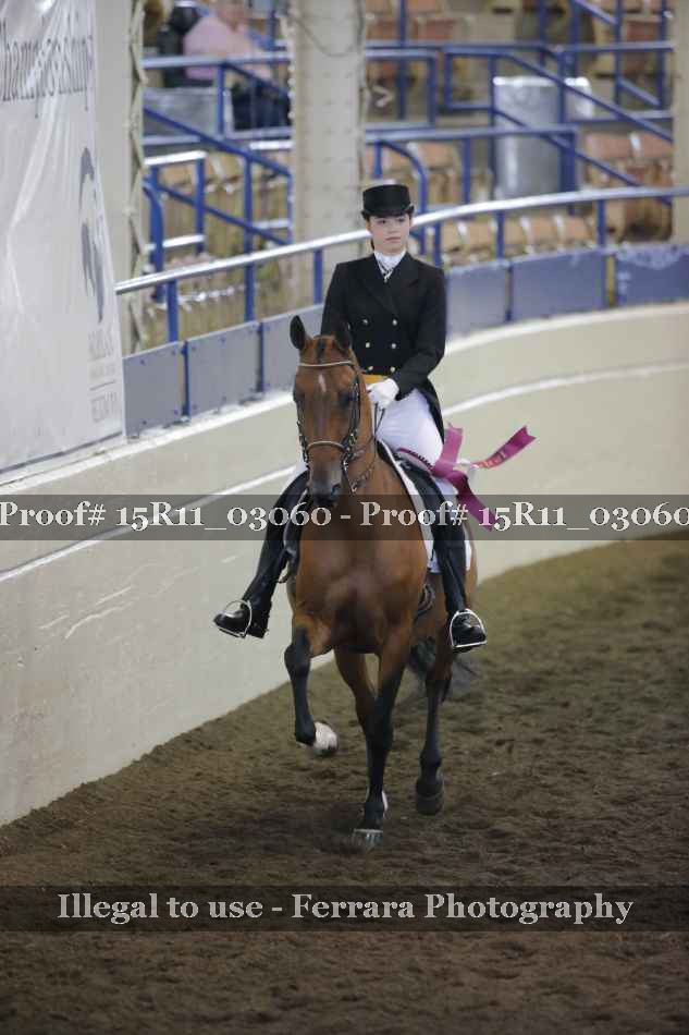 Proof 15R11_03060