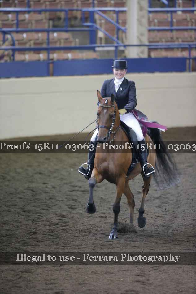 Proof 15R11_03063