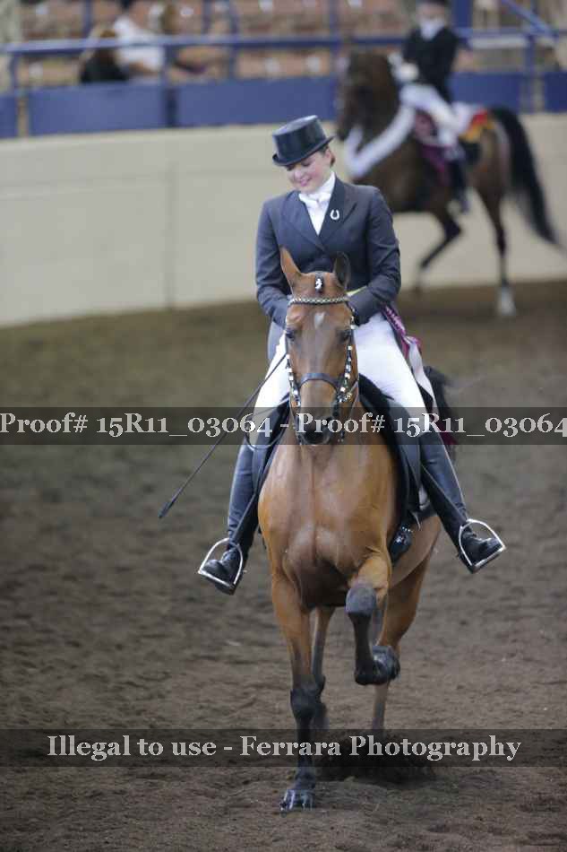Proof 15R11_03064