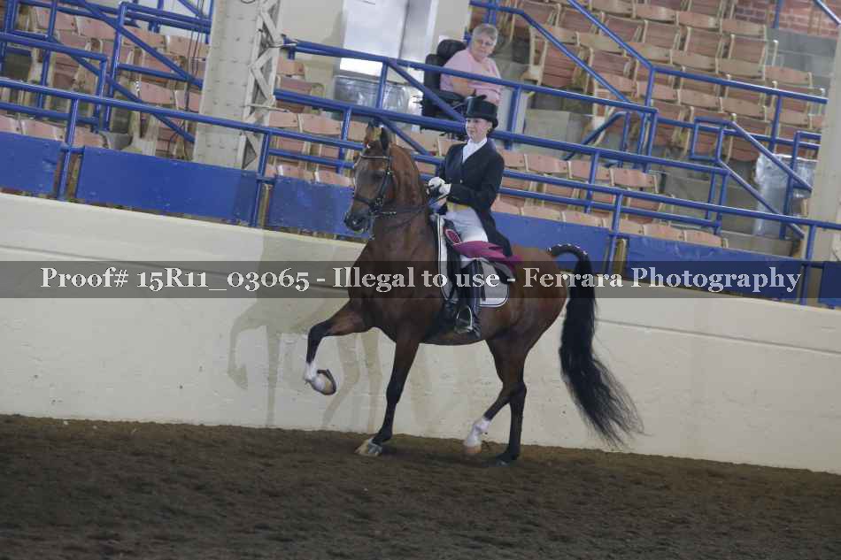 Proof 15R11_03065