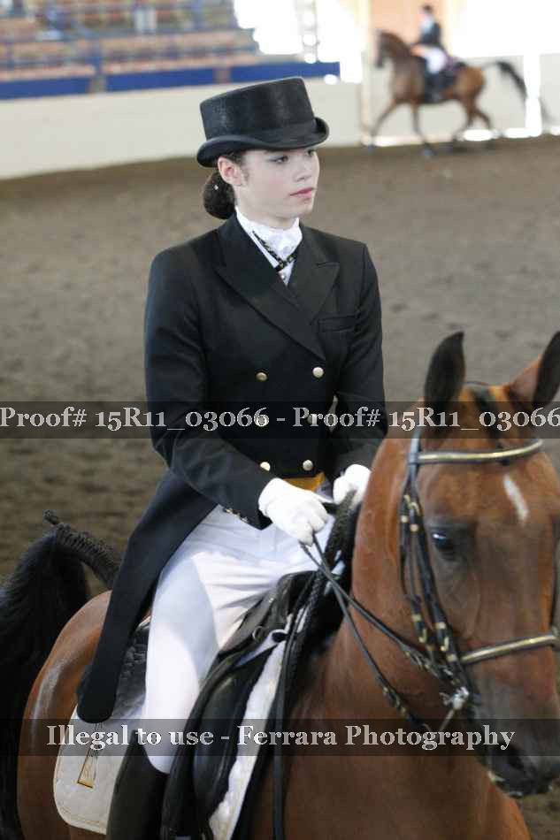 Proof 15R11_03066