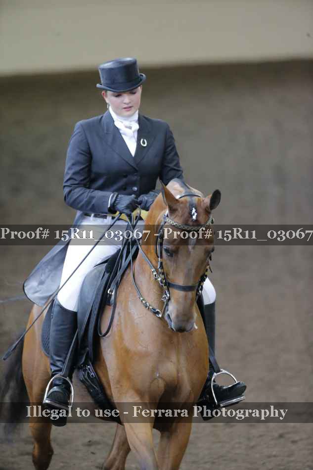 Proof 15R11_03067