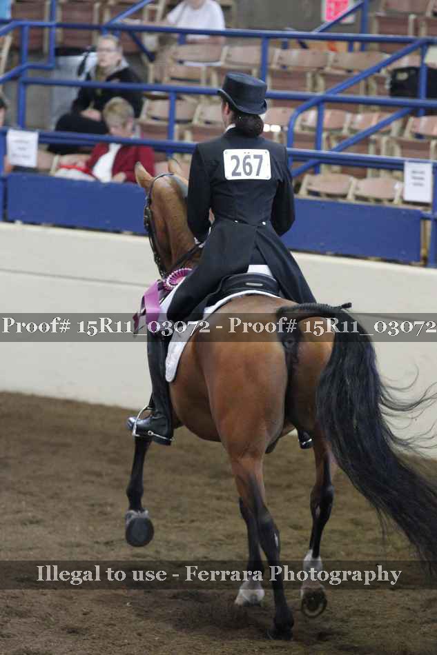 Proof 15R11_03072