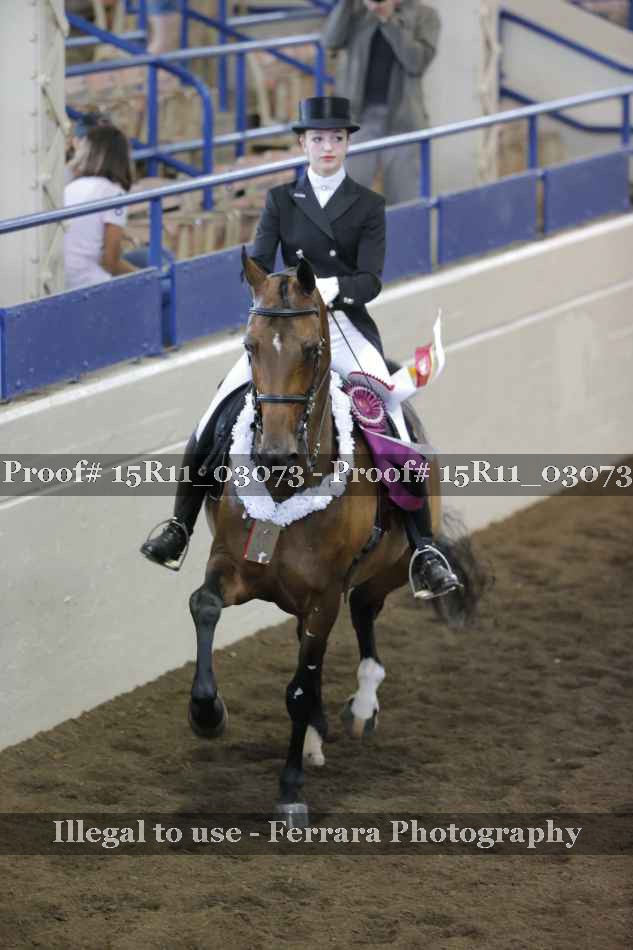 Proof 15R11_03073