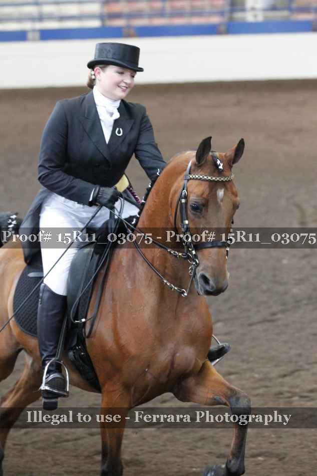 Proof 15R11_03075