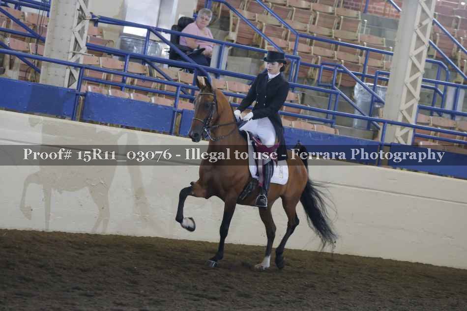 Proof 15R11_03076