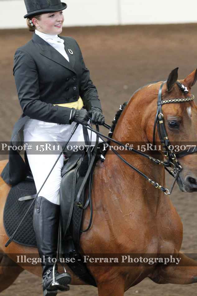 Proof 15R11_03077