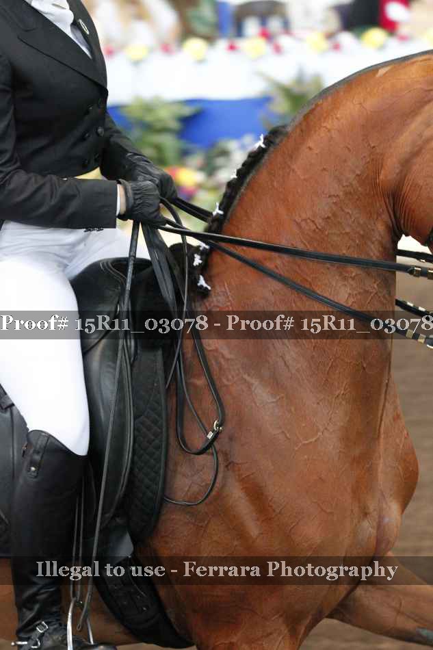 Proof 15R11_03078