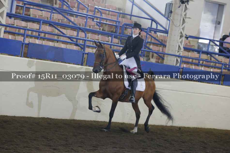 Proof 15R11_03079