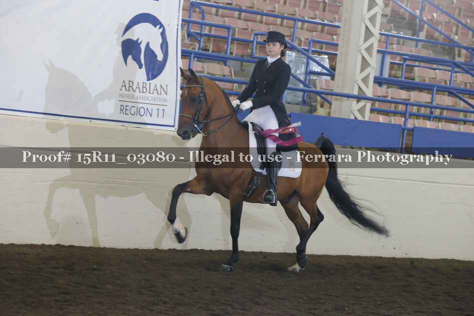 Proof 15R11_03080