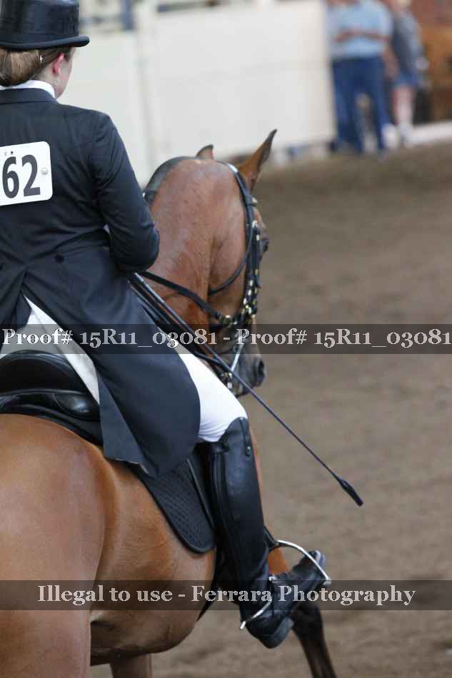 Proof 15R11_03081