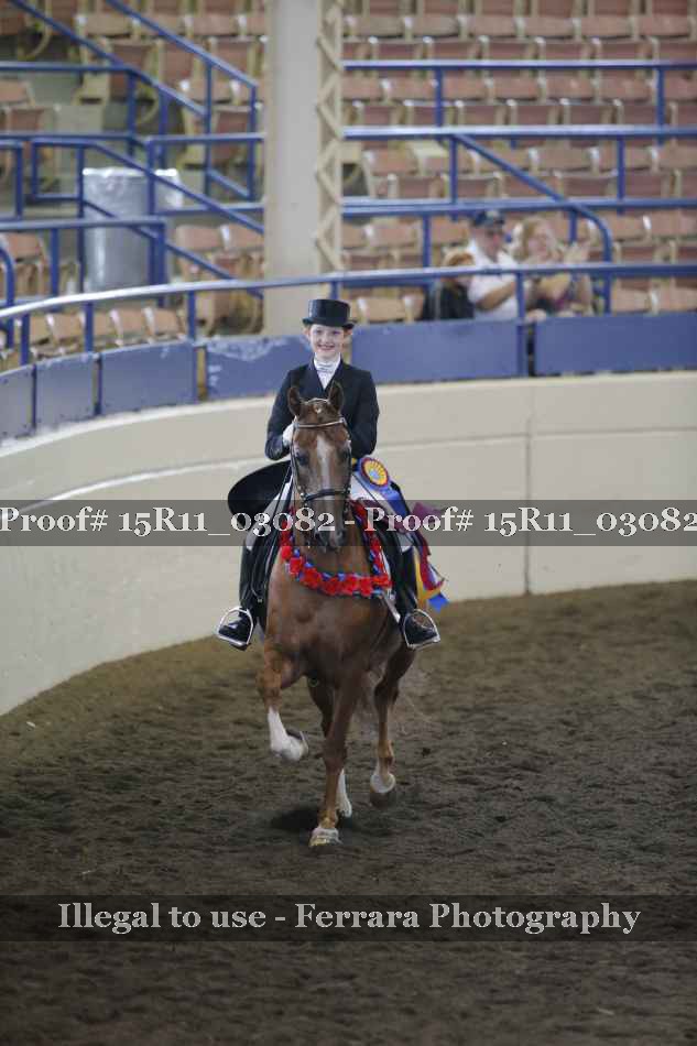 Proof 15R11_03082