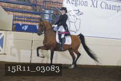 15R11_03083 proof