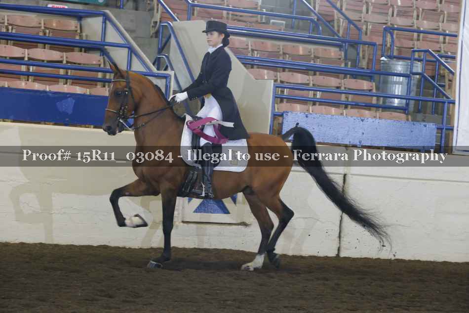 Proof 15R11_03084