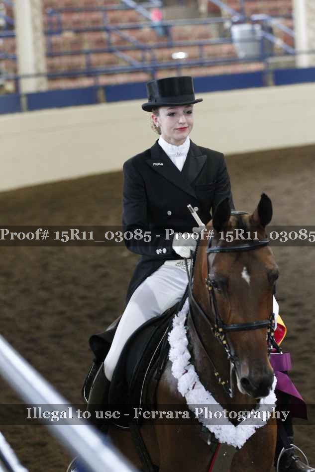 Proof 15R11_03085