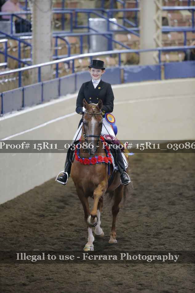 Proof 15R11_03086