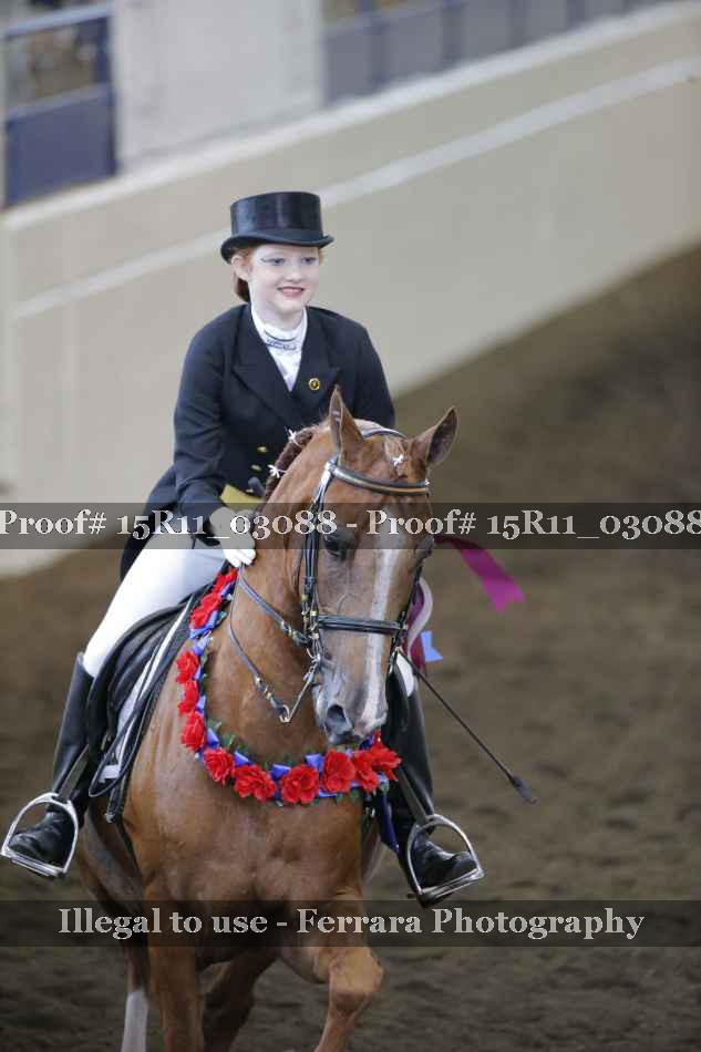 Proof 15R11_03088