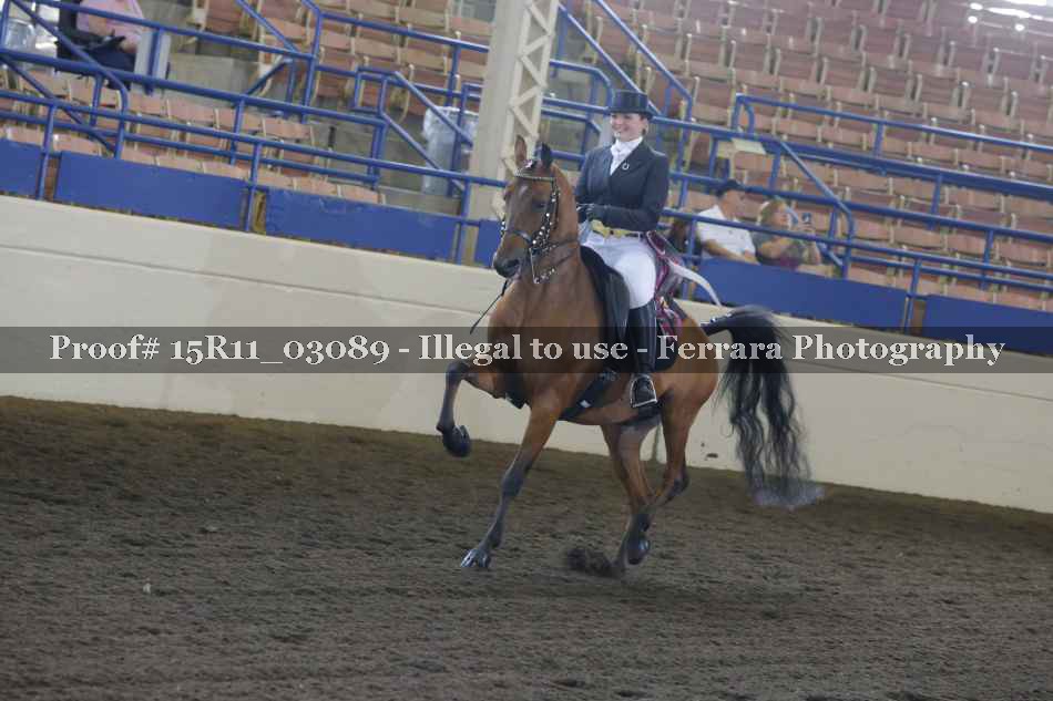 Proof 15R11_03089