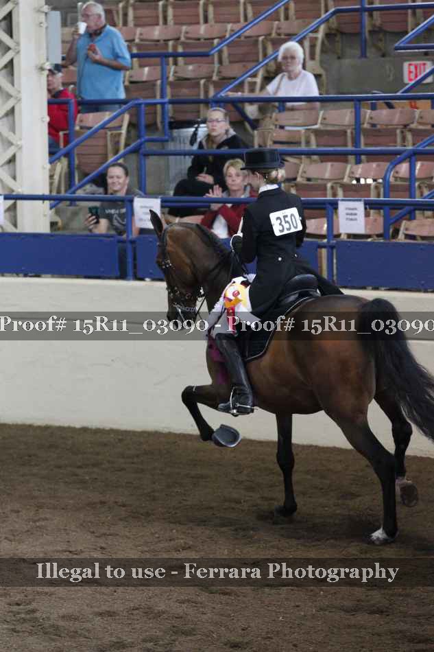 Proof 15R11_03090