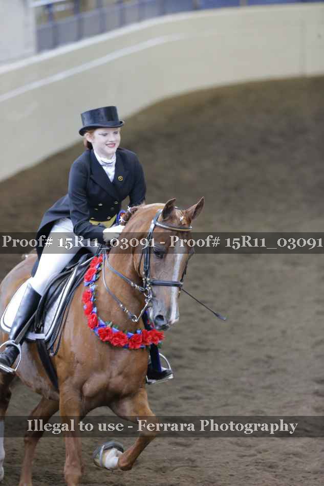 Proof 15R11_03091