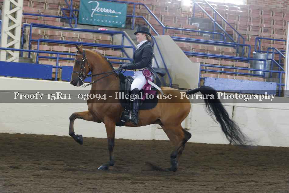 Proof 15R11_03094