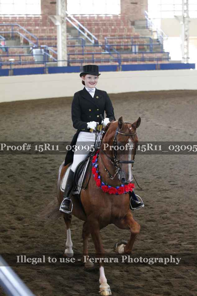 Proof 15R11_03095